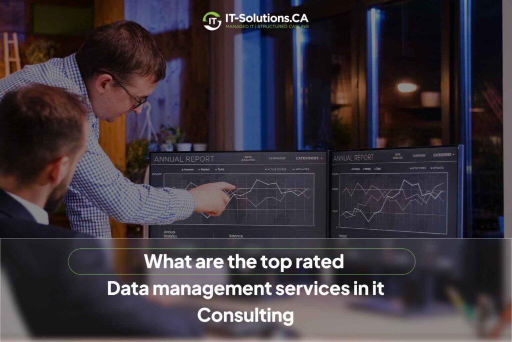 IT consultants analyzing line graphs on dual monitors, showcasing top-rated data management services.