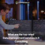 IT consultants analyzing line graphs on dual monitors, showcasing top-rated data management services.